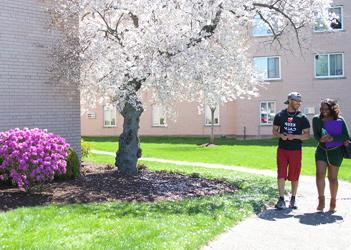 UB students walking on campus